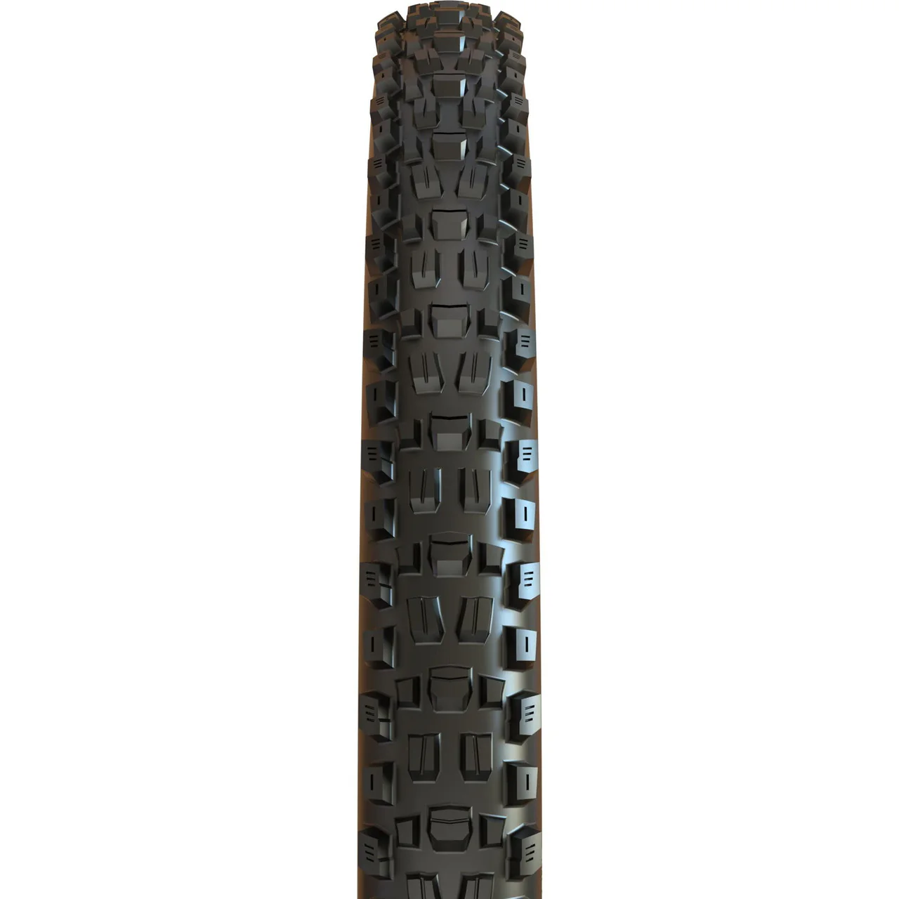Maxxis Assegai WT 120x2 TPI 3C MaxxGrip Double Down Tubeless Folding Tyre - Image 2