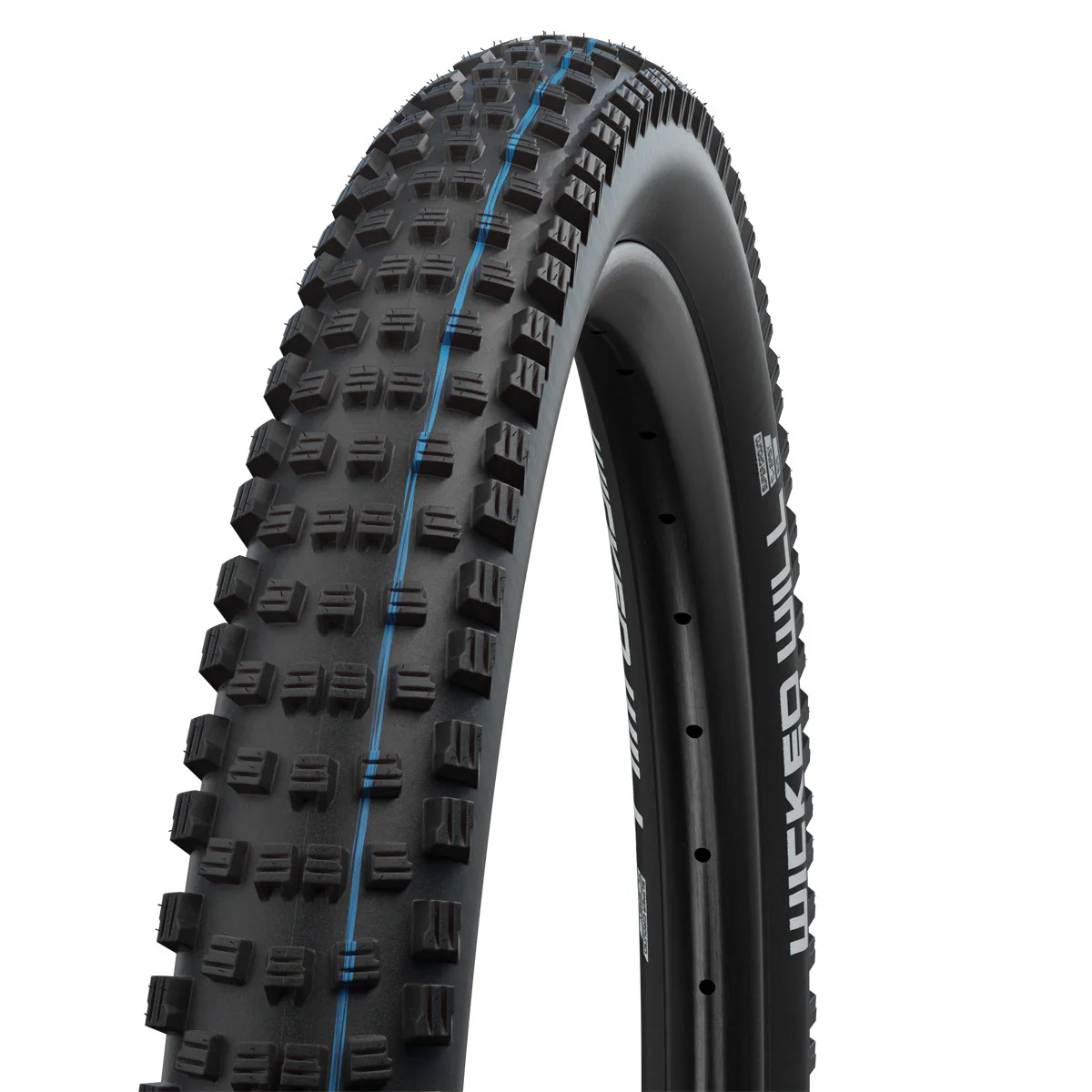 Schwalbe Wicked Will Evo Addix Speedgrip Super Ground TLE MTB Tyre Black All Sizes
